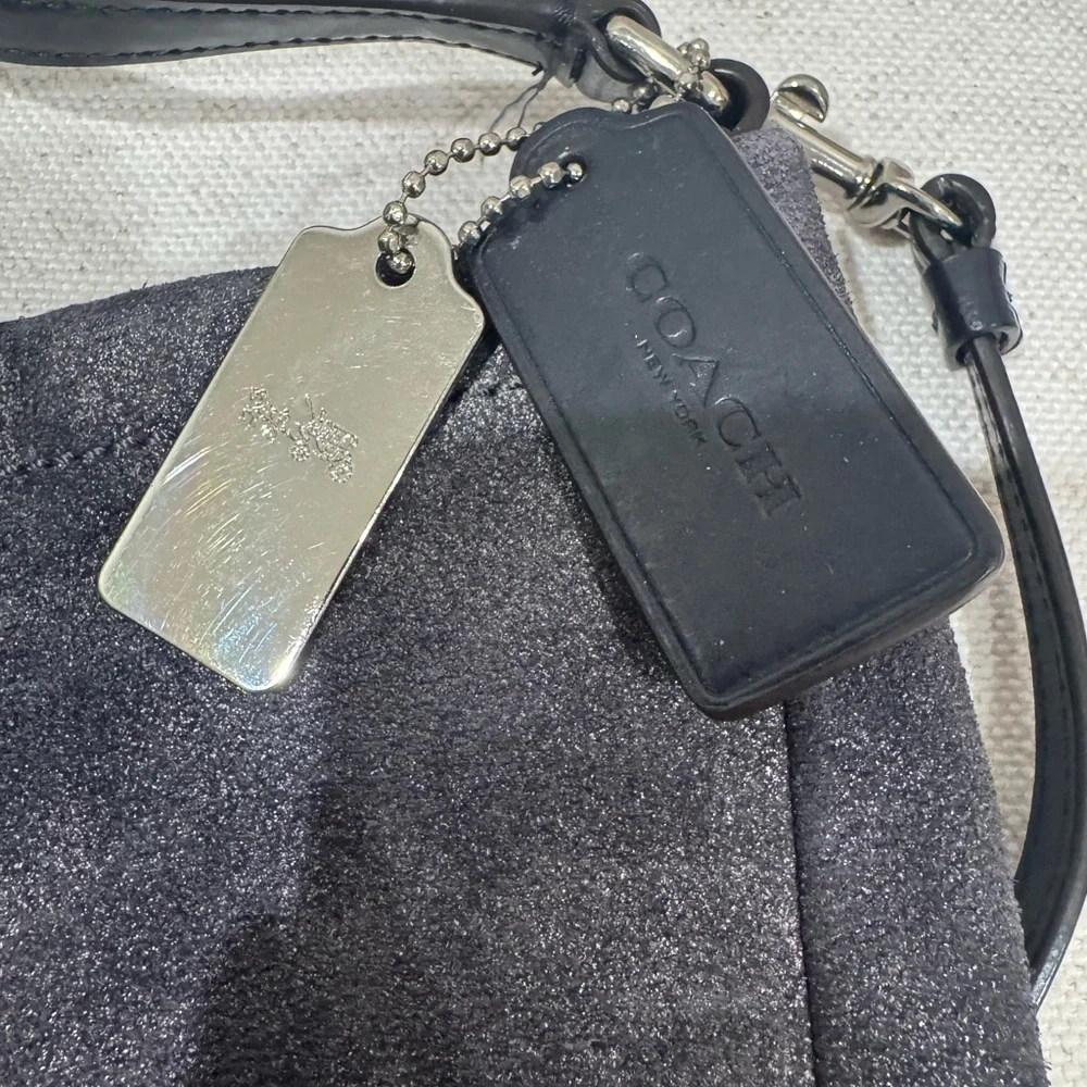 Coach Parkside Hobo Gray Shimmery Brushed Leather Shoulder Crossbody Bag #36897E